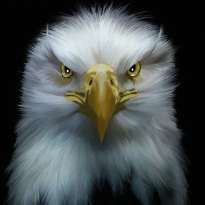 Meet your Posher, Don